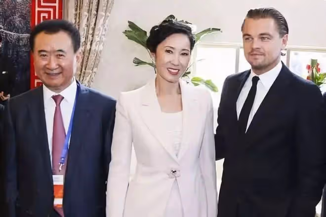 王思聰卸任萬達董事!曾投資失敗虧20億,王健林財產或不留給兒子