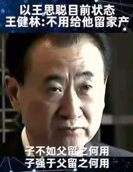 王思聰卸任萬達董事!曾投資失敗虧20億,王健林財產或不留給兒子