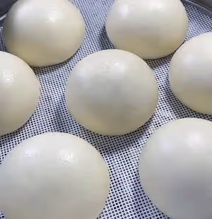 燙麵饅頭（一次發酵，個個水光肌）