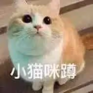 財閥包養得病導致離婚?宋慧喬隱私被曝,清純女神背後玩這麼大?
