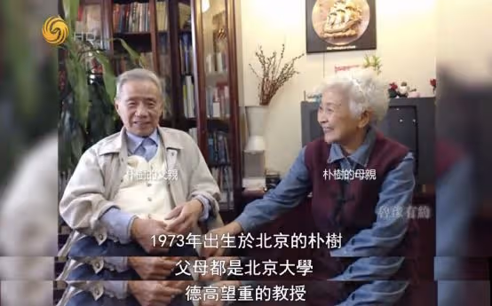 消失的朴樹:抑鬱、叛逆、被提離婚