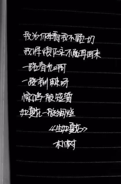 消失的朴樹:抑鬱、叛逆、被提離婚
