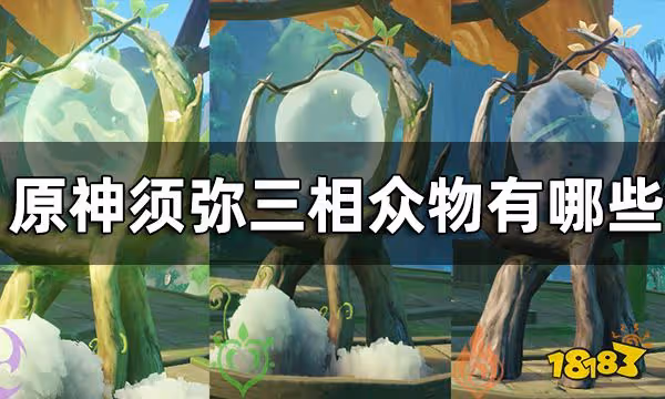 原神三相眾物種類一覽及介紹 須彌所有三相眾物有哪些