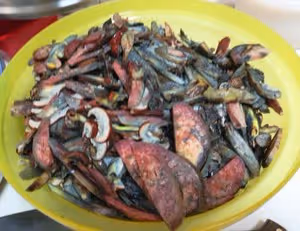 青椒牛肝菌（紅見手青）