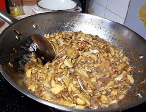 青椒牛肝菌（紅見手青）
