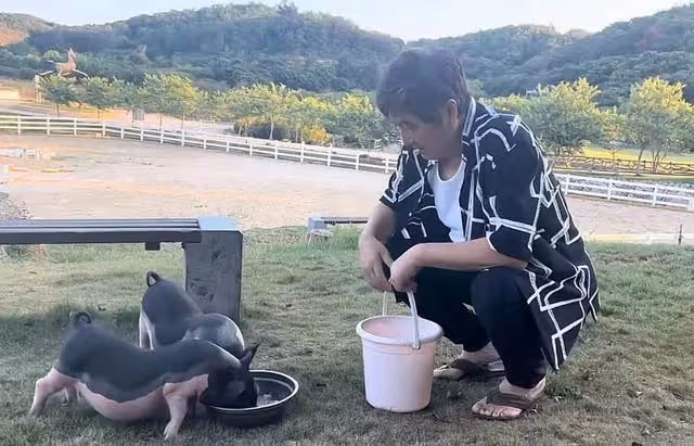 67歲知名港星近況曝光!定居河北穿人字拖喂豬,面部鬆弛肚腩突出