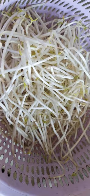 綠豆芽炒肉絲