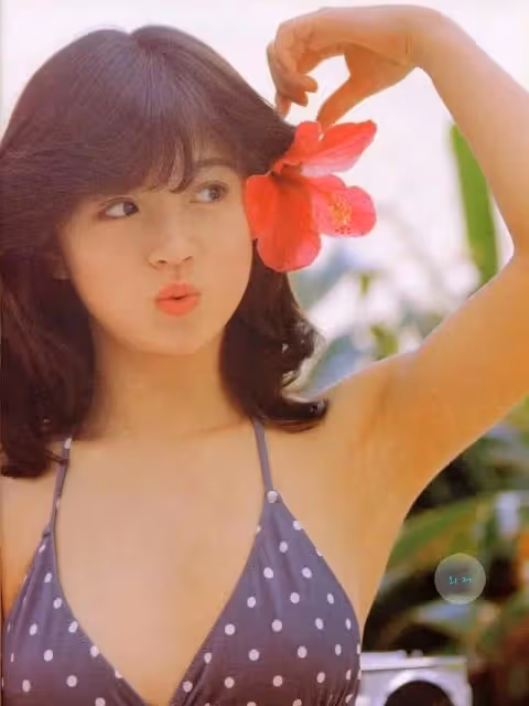 破碎氛圍感油畫美女!女神中森明菜宣布復出,曾與梅艷芳同一男友