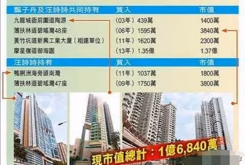 甄子丹上億豪宅讓關之琳都贊"好漂亮",內設超奢華健身房音樂廳