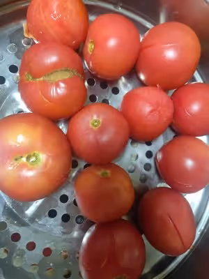簡單又粗暴的自製西紅柿醬——長期保存一年不會壞
