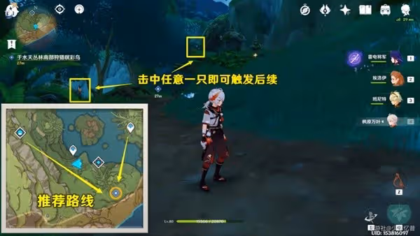 《原神》與珍稀之鳥的短暫邂逅任務攻略
