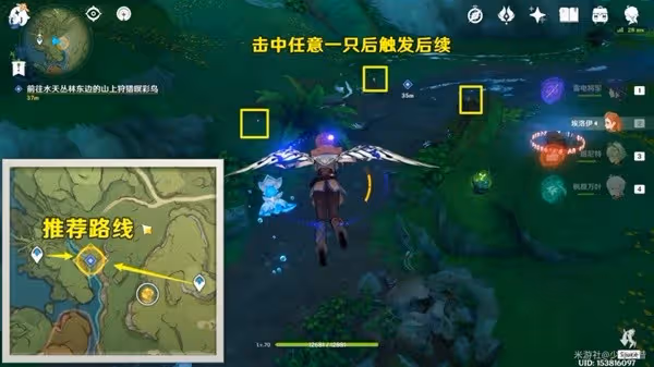 《原神》與珍稀之鳥的短暫邂逅任務攻略