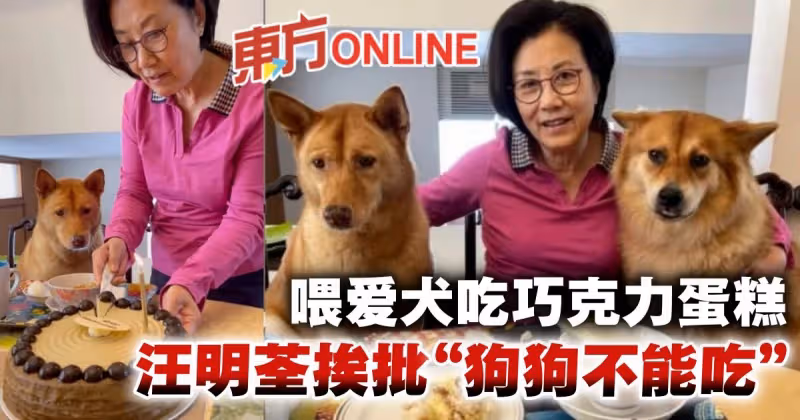親喂愛犬吃巧克力蛋糕　汪明荃惹網民狠批：狗狗不能吃！