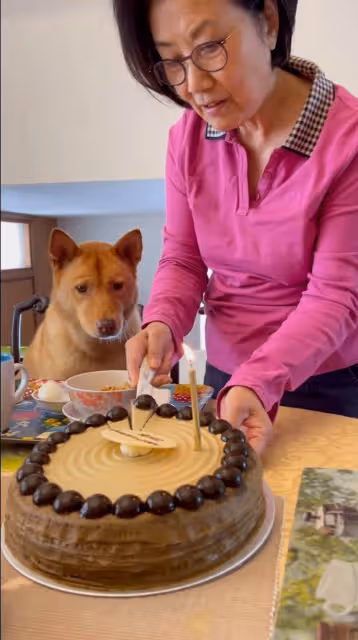 親喂愛犬吃巧克力蛋糕　汪明荃惹網民狠批：狗狗不能吃！
