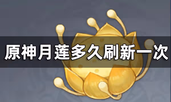 原神月蓮刷新時間介紹 月蓮多久刷新一次