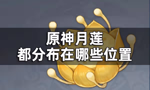原神月蓮採集地位置一覽 月蓮都分布在哪些位置