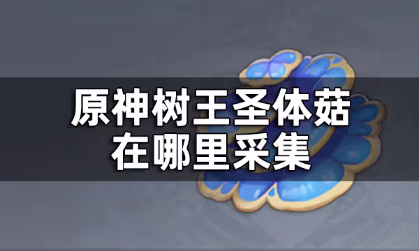 原神樹王聖體菇位置一覽 樹王聖體菇在哪裡採集