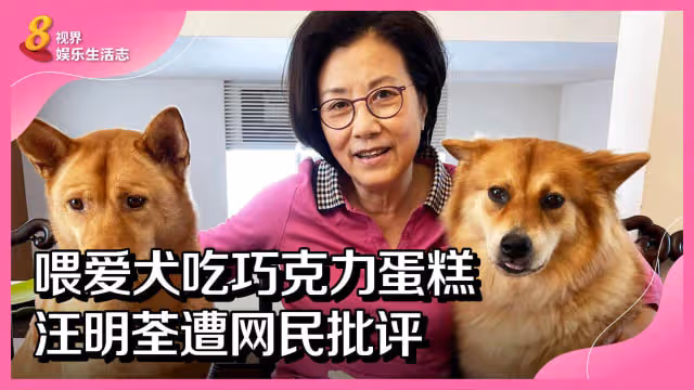 喂愛犬吃巧克力蛋糕　汪明荃遭網民批評