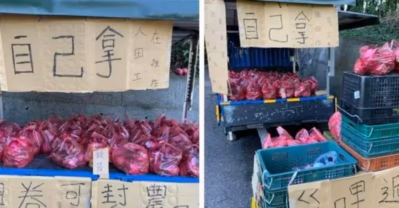 人在田裡工作！老闆將火龍果擺貨車上「一袋100自己拿」放工清點車上錢筒「秒傻住」：不愧是台灣