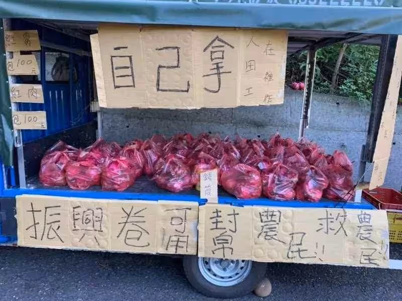 人在田裡工作!老闆將火龍果擺貨車上「一袋100自己拿」放工清點車上錢筒「秒傻住」:不愧是台灣