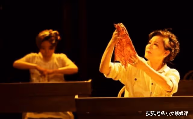她們都是演《渴望》成名，如今一個成母親專業戶，一個隱退被遺忘
