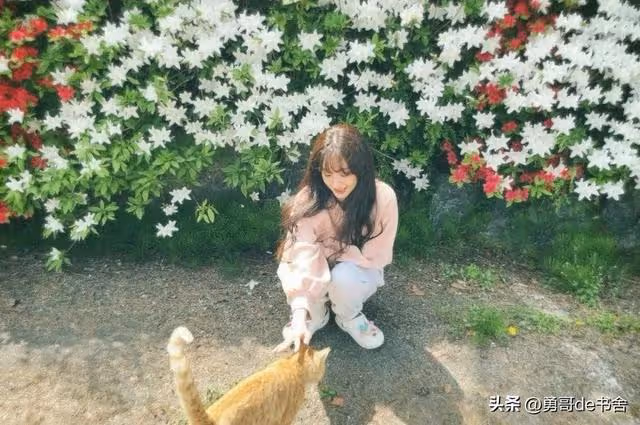 41歲過氣女星未婚未孕,因整容聲名狼藉,如今一個人獨居火遍全網