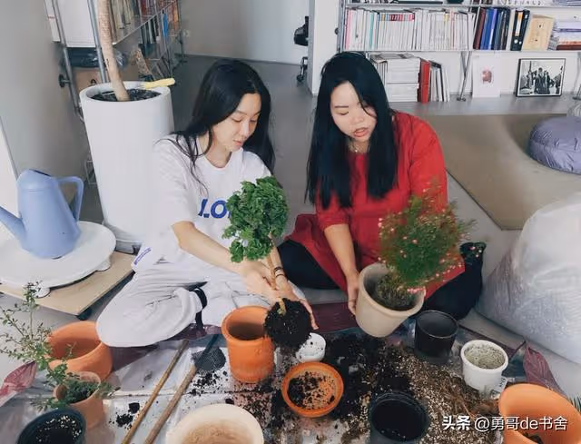 41歲過氣女星未婚未孕,因整容聲名狼藉,如今一個人獨居火遍全網