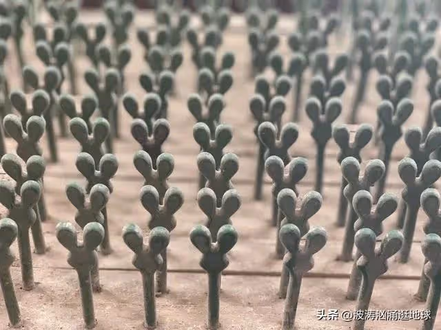 43張圖看世界:中國美女進軍日本娛樂業,長有最大嘴的女性