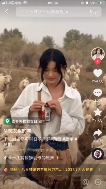 8分鐘宰1頭羊：「荒漠屠夫」竟是美少女，網看傻