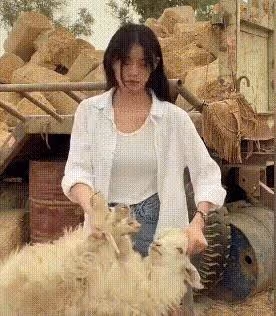 8分鐘宰1頭羊：「荒漠屠夫」竟是美少女，網看傻