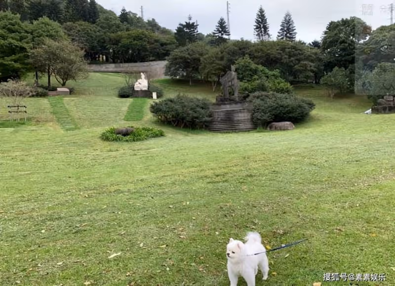 Bella徹底放下高以翔,發動態不再提男友,只想安靜過自己的生活