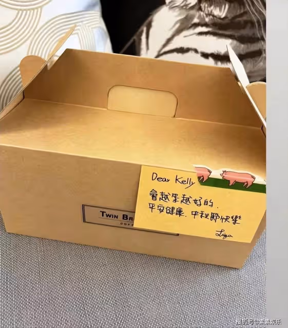 陳若儀曬林志穎吃的營養品:感謝朋友們投食,讓小志恢復更快