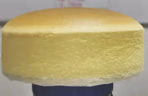 如何順利製作清爽不膩的輕芝士蛋糕