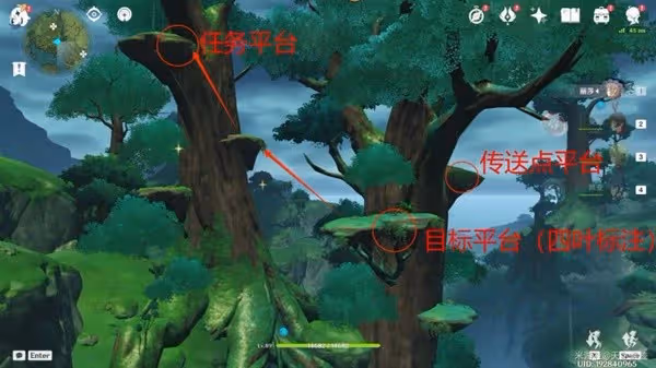 《原神》3.0水天叢林華麗寶箱解謎攻略