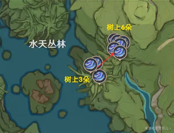 《原神》樹王聖體菇購買與採集點位標註