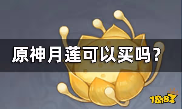 原神月蓮可以買嗎 月蓮獲取途徑一覽