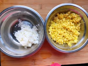 小鴨子壽司🍣飯糰便當