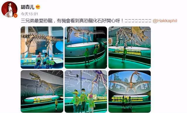 胡杏兒曬出遊照!手臂粗壯體格不輸老公,三兒子穿親子裝看恐龍展