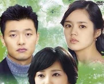 演技差又沒事業心的韓佳人,僅憑天然美貌,穩霸女神榜20年
