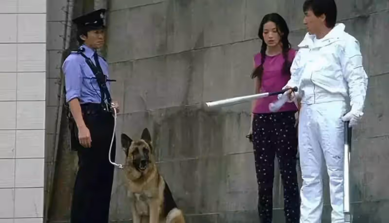 當年因為洪金寶在拍這部電影,香港的片場為此幾乎全部停工