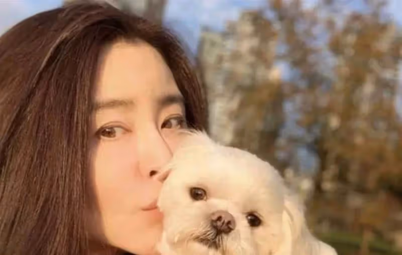 香港四大美女,中老年獨身,年輕時被富豪追,退圈多年瀟灑無兒女