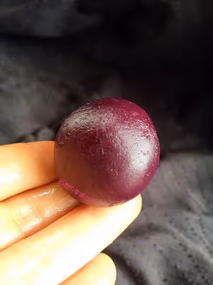 紫薯蛋黃月餅