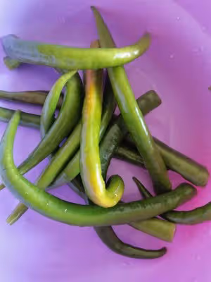 拌飯拌面絕佳：燒椒醬