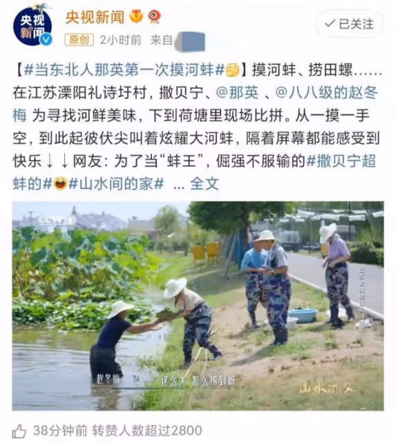 那英下河徒手摸河蚌,戴草帽幹活越干越起勁,和撒貝寧比賽耍花招