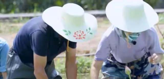 那英下河徒手摸河蚌,戴草帽幹活越干越起勁,和撒貝寧比賽耍花招