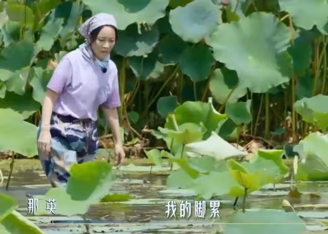 那英下河徒手摸河蚌,戴草帽幹活越干越起勁,和撒貝寧比賽耍花招