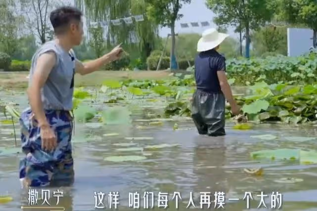 那英下河徒手摸河蚌,戴草帽幹活越干越起勁,和撒貝寧比賽耍花招