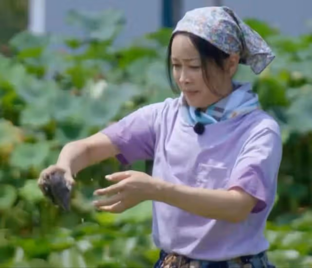 那英下河徒手摸河蚌,戴草帽幹活越干越起勁,和撒貝寧比賽耍花招