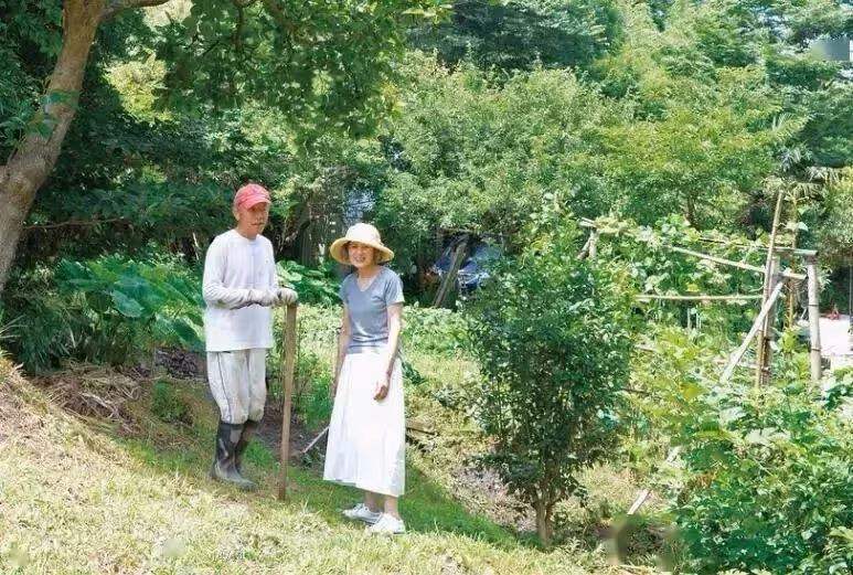 結婚49年不同床！七旬夫妻分房睡「午飯分開吃」卻成最恩愛夫妻　 主婦分享幸福秘訣：給彼此留下足夠空間