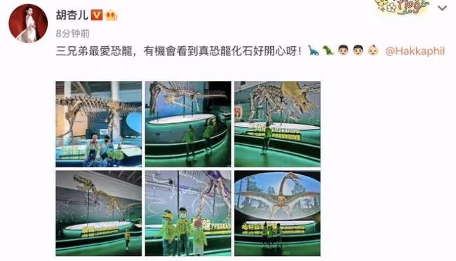胡杏兒曬一家五口出遊照 富豪老公背著嬰兒背帶